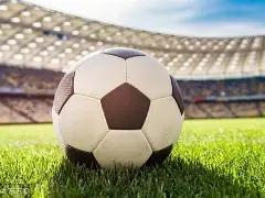 金莎随母姓,引争议,张绍刚直言,开云体育,开云体育官网,开云体育app,开云体育平台,KAIYUN,SPORTS,kaiyun登录入口