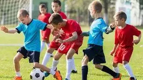 开运体育入口 资讯 092848 1wo