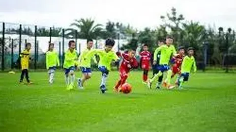 开运体育入口 资讯 093356 qo4